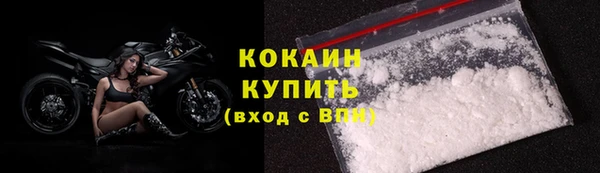 кокс Алексин