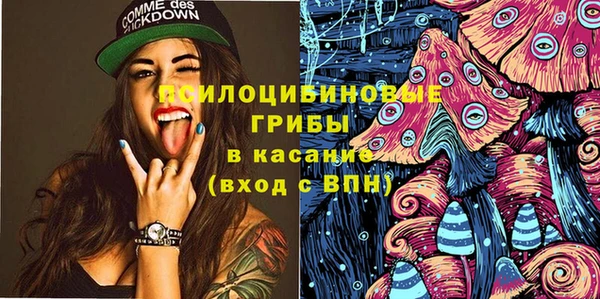 кокс Алексин