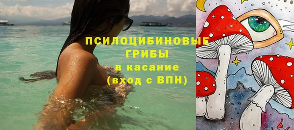 кокс Алексин