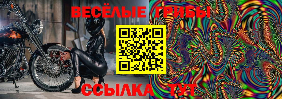 Галлюциногенные грибы Psilocybine cubensis  Псилоцибиновые грибы мухоморы  Красноармейск  Вход с VPN 