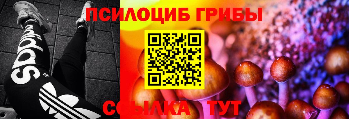 Галлюциногенные грибы Cubensis Красноармейск